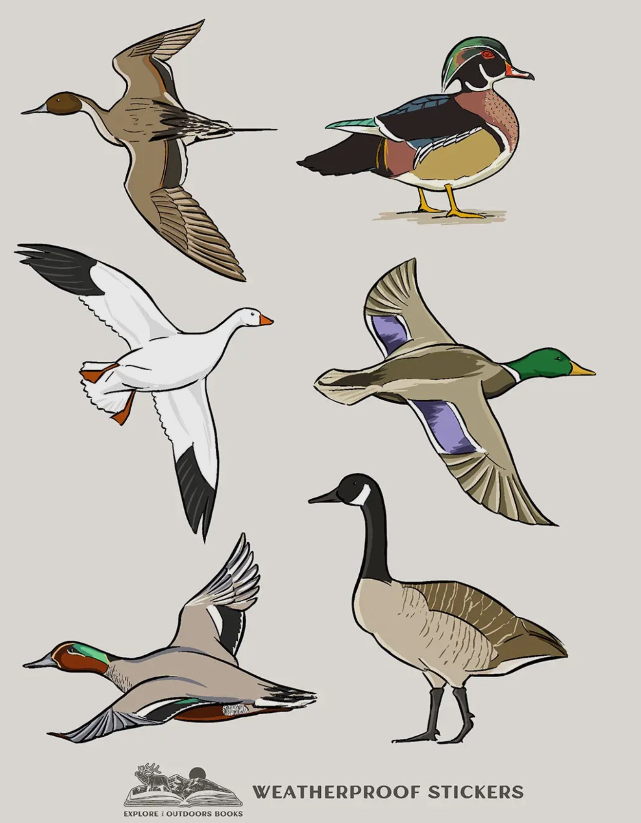 Waterfowl Weatherproof Stickers