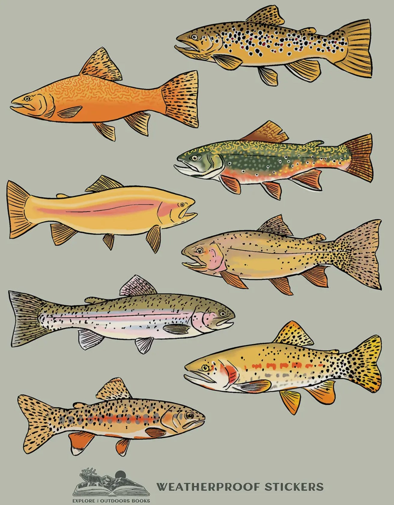 Trout Weatherproof Stickers