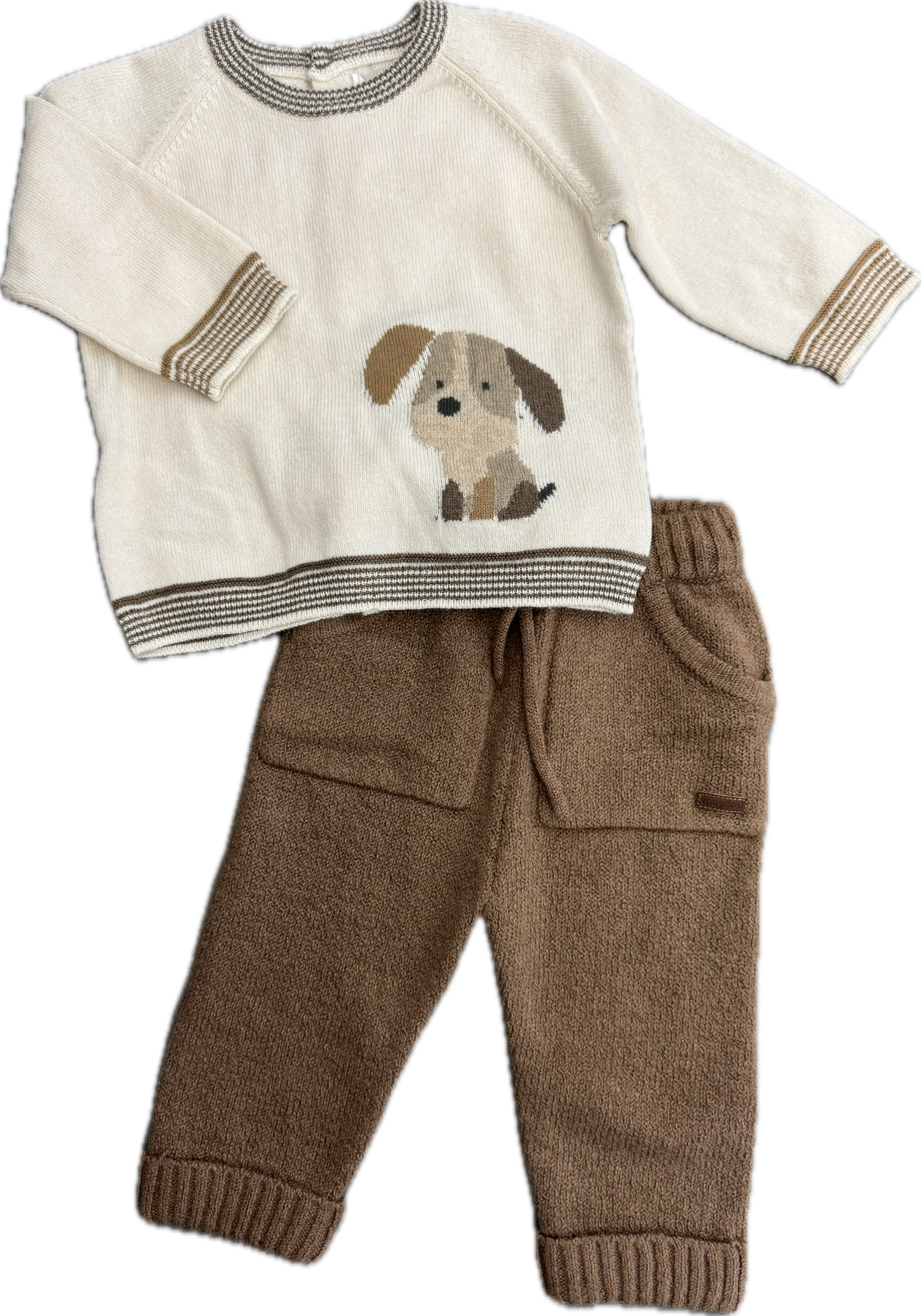 Dog Sweater and Knit Pants Set