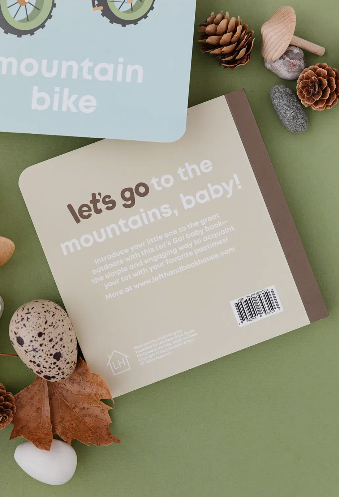 Mountain Baby Board Book