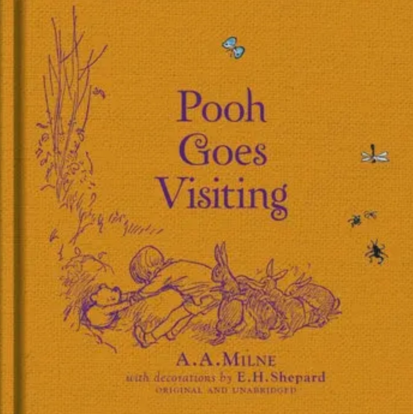 Winnie The Pooh: Goes Visiting