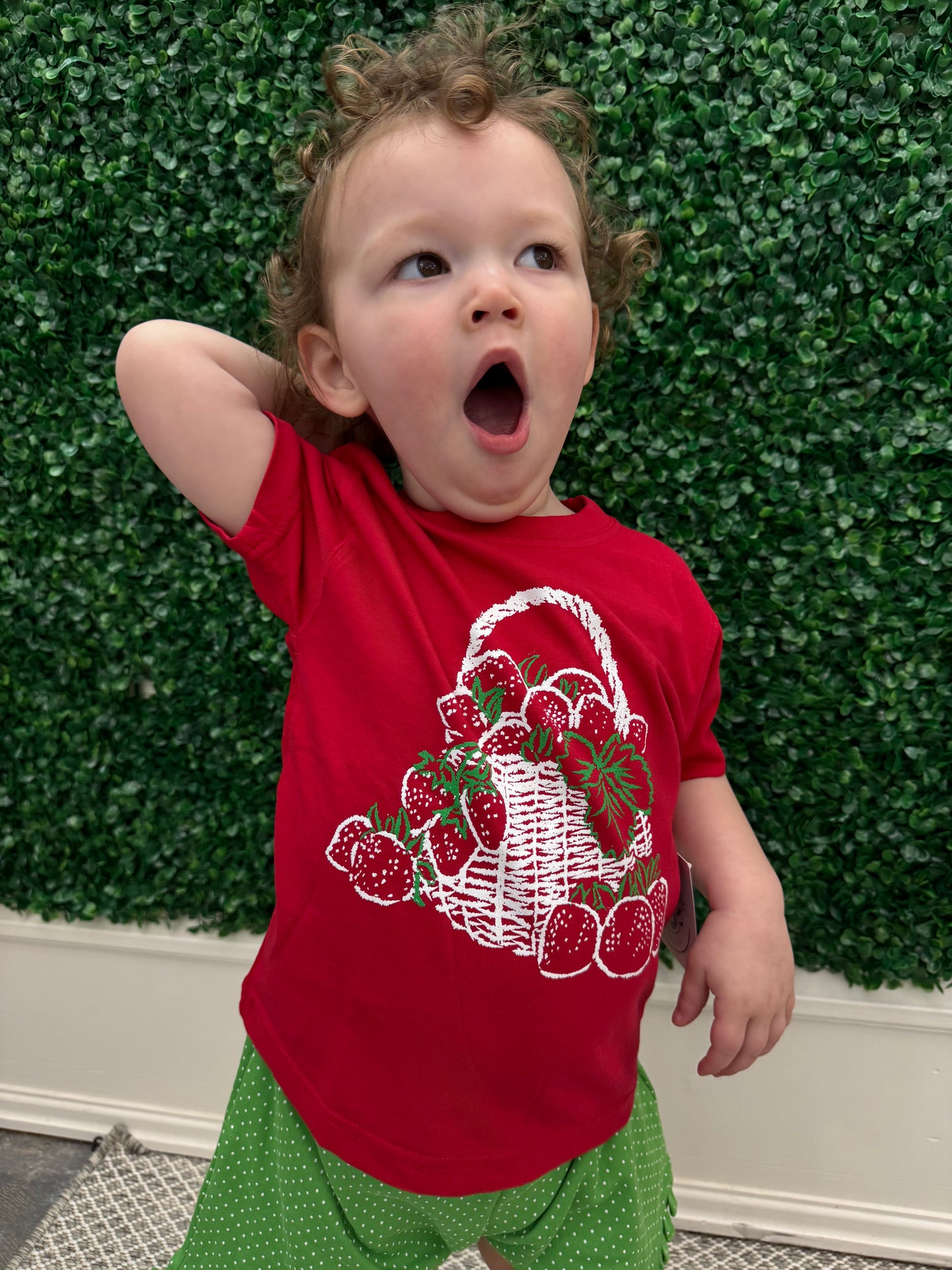 Strawberry Basket T-Shirt