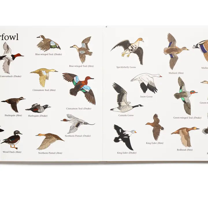 Mossy Oak- The Big Book of Hunting