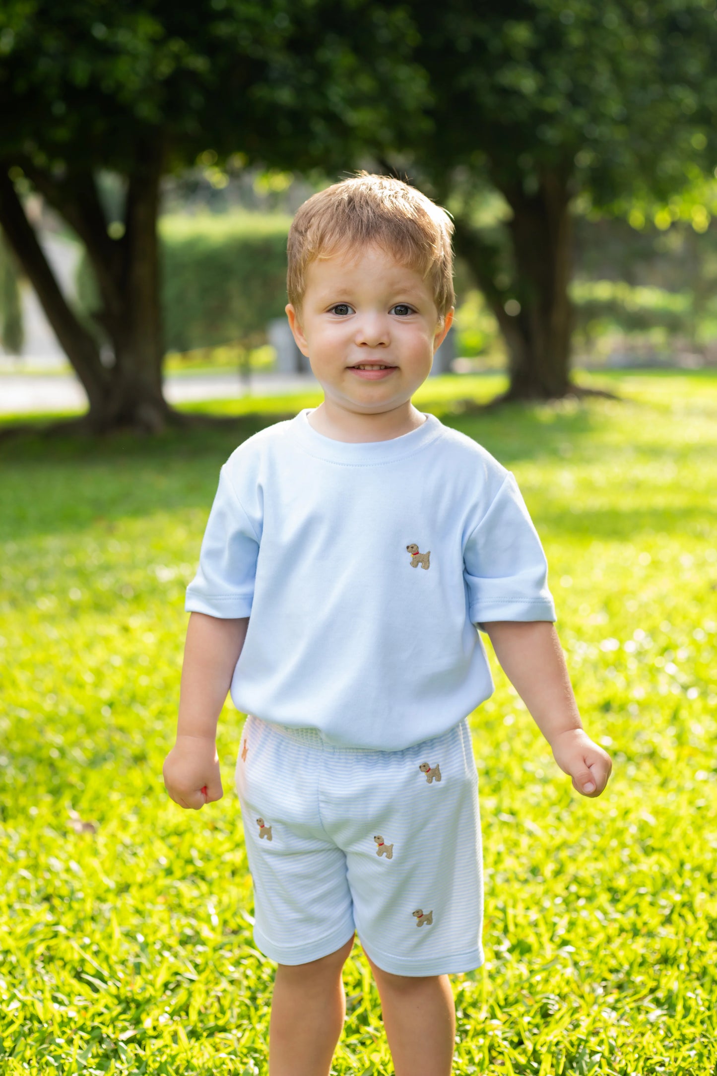 Puppy Leo Short