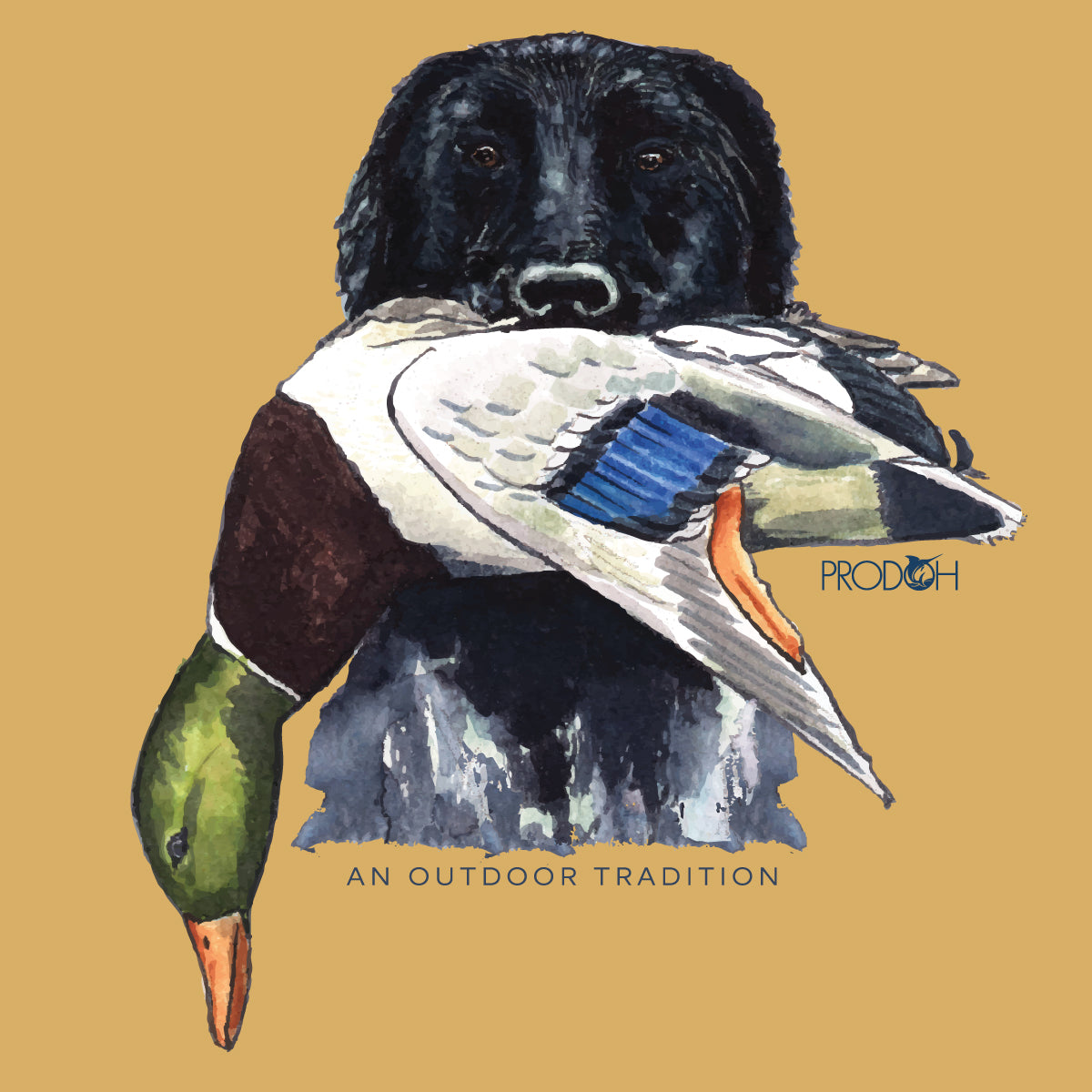Kid's Long Sleeve Cotton T-Shirt