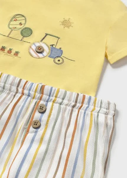 Shorts and Tee Set