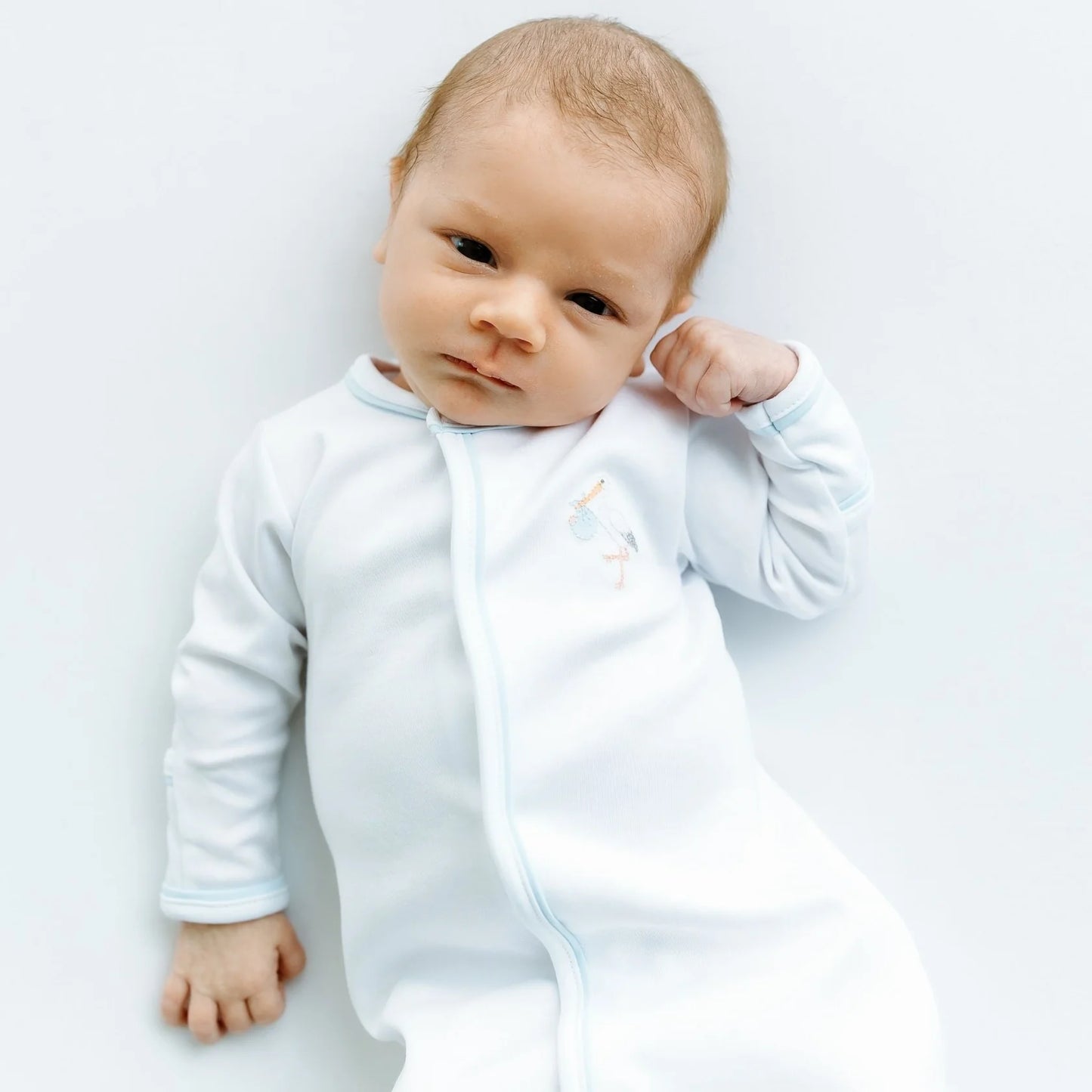 Vintage Stork Converter