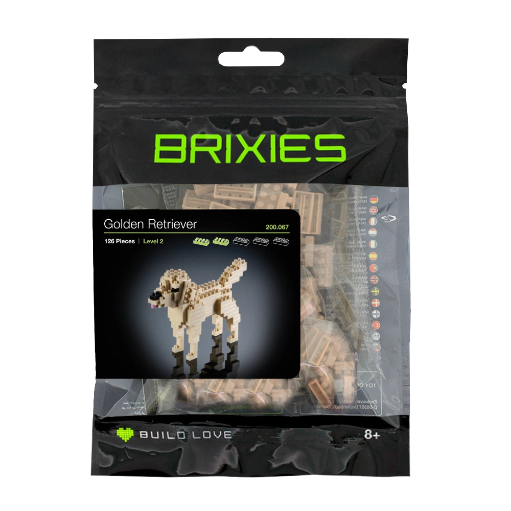 Brixies Golden Retriever