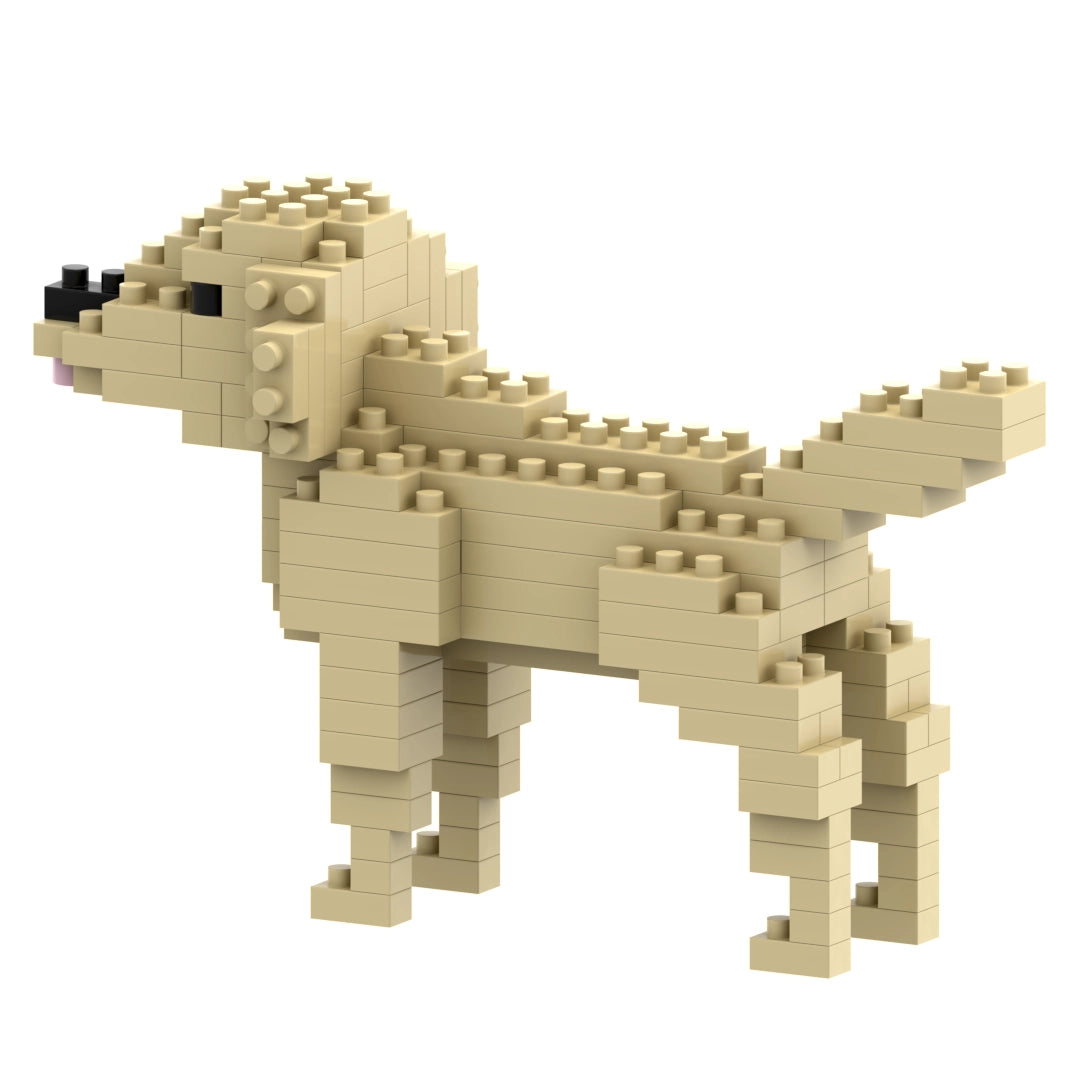 Brixies Golden Retriever