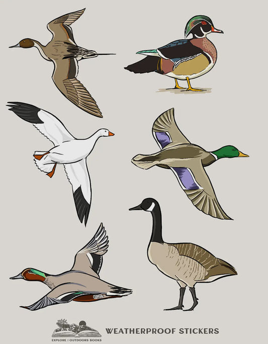 Waterfowl Weatherproof Stickers