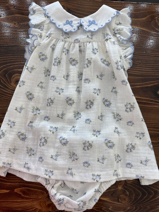 Bleu Rose Float Set