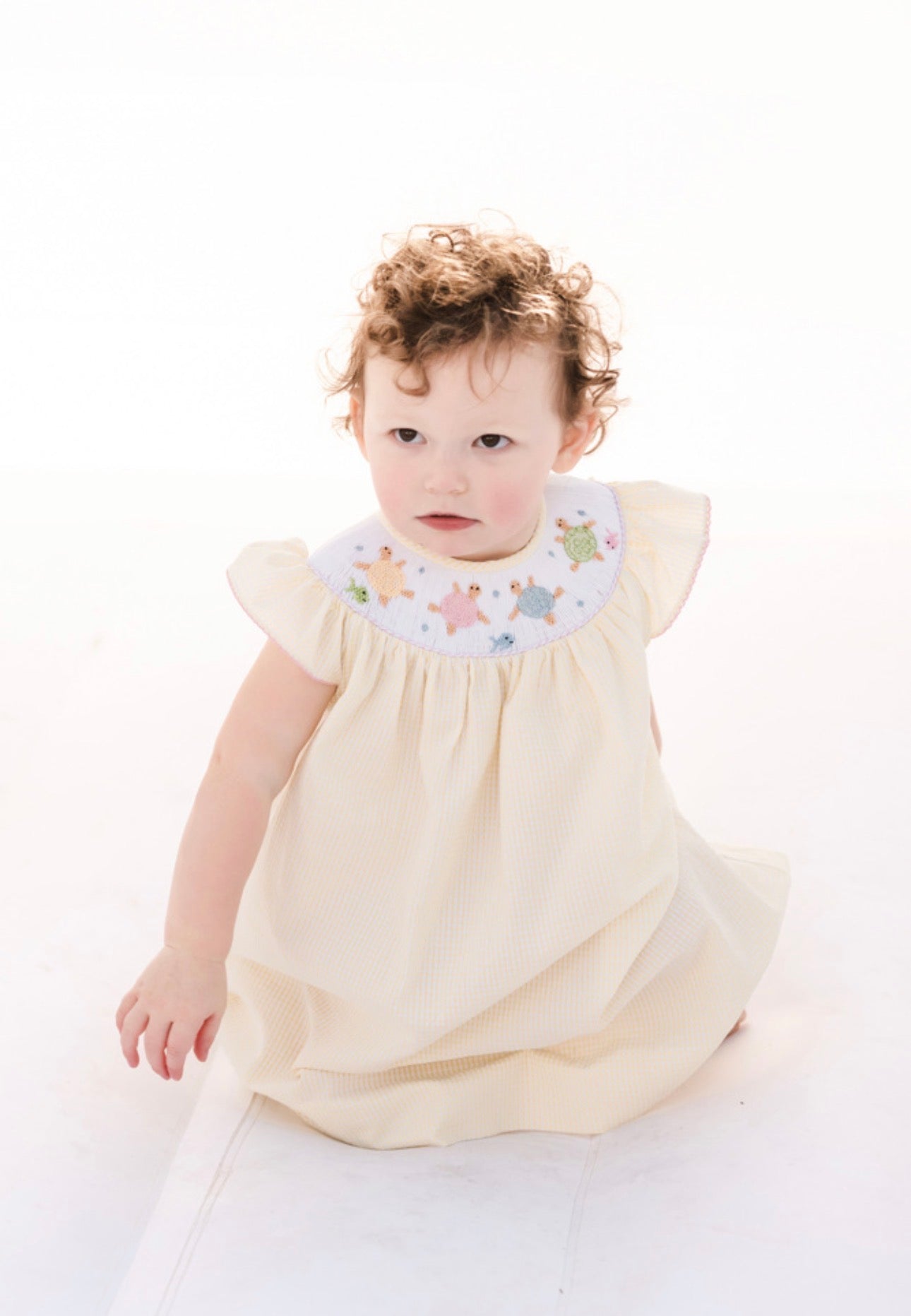 Turtle Smocked Dress