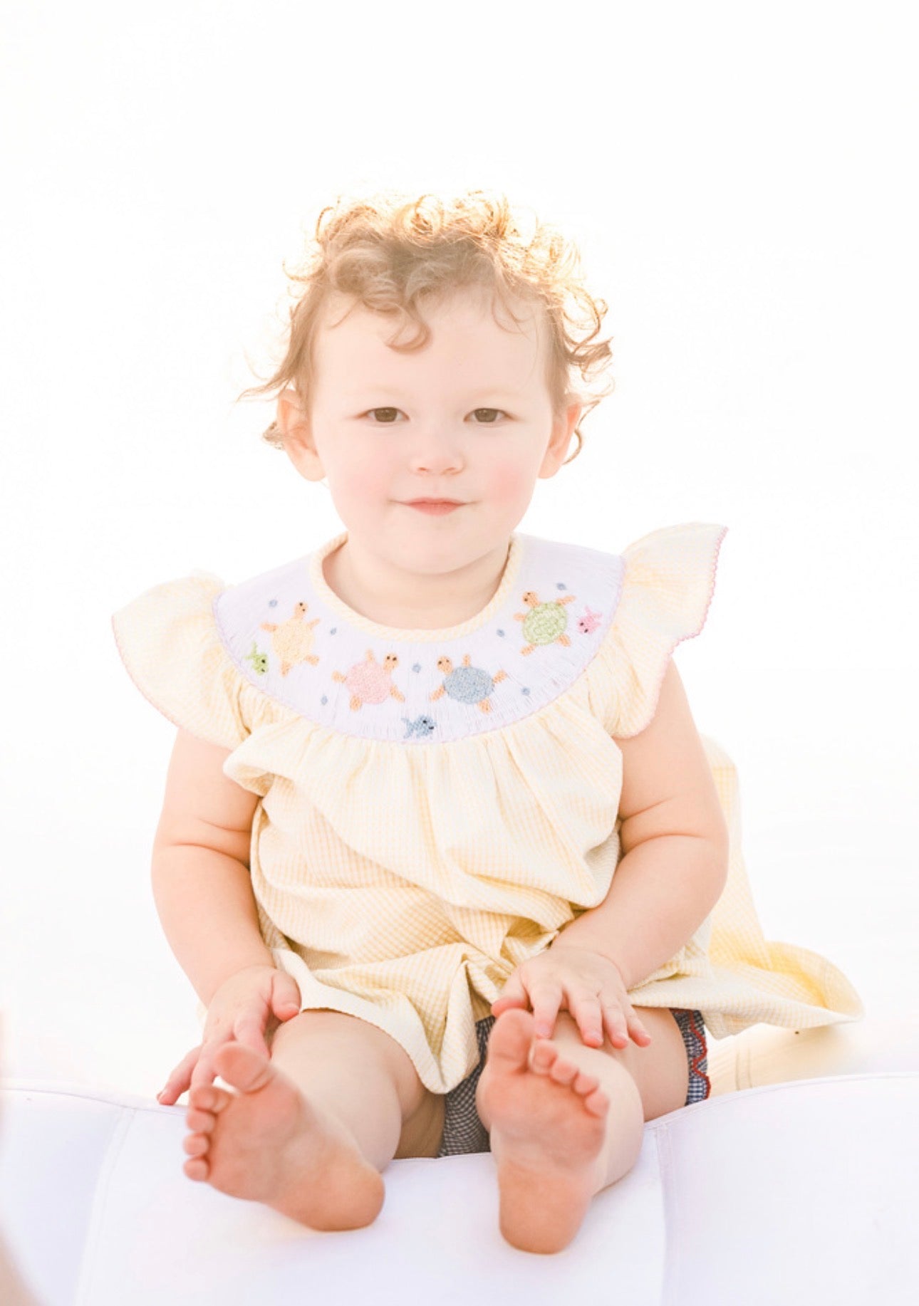 Turtle Smocked Dress