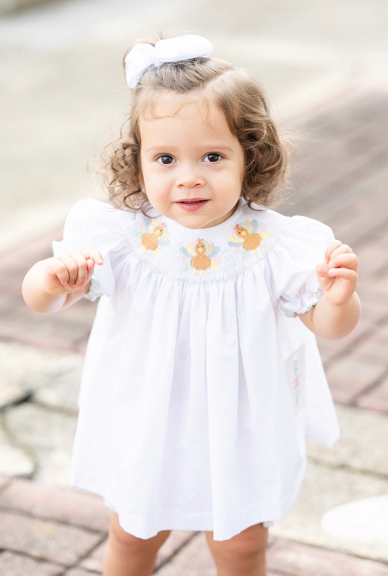 Smocked Turkey Bloomer Set