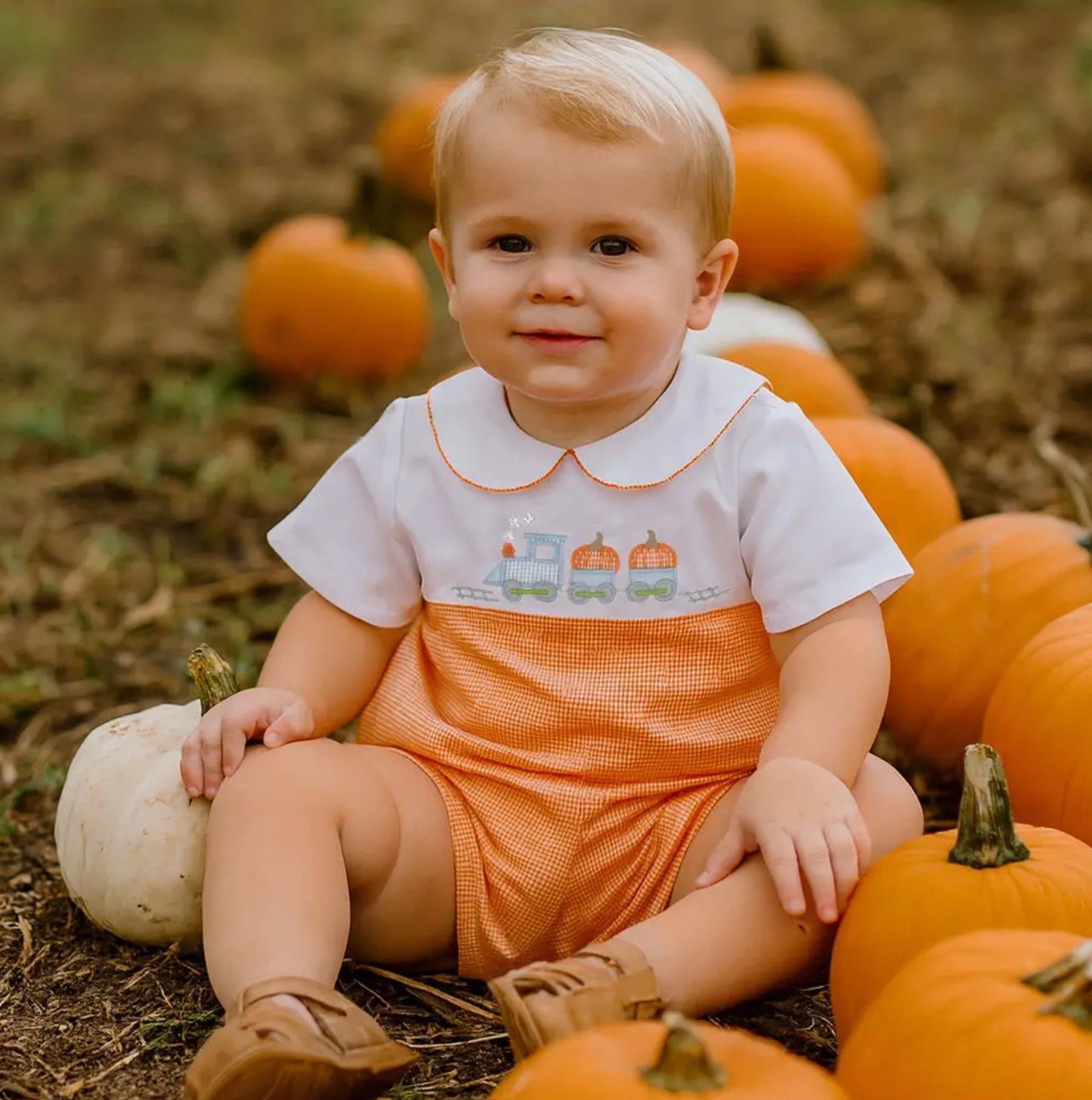 Pumpkin Train Shortall