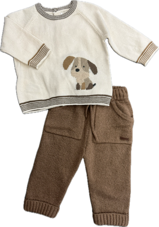 Dog Sweater and Knit Pants Set