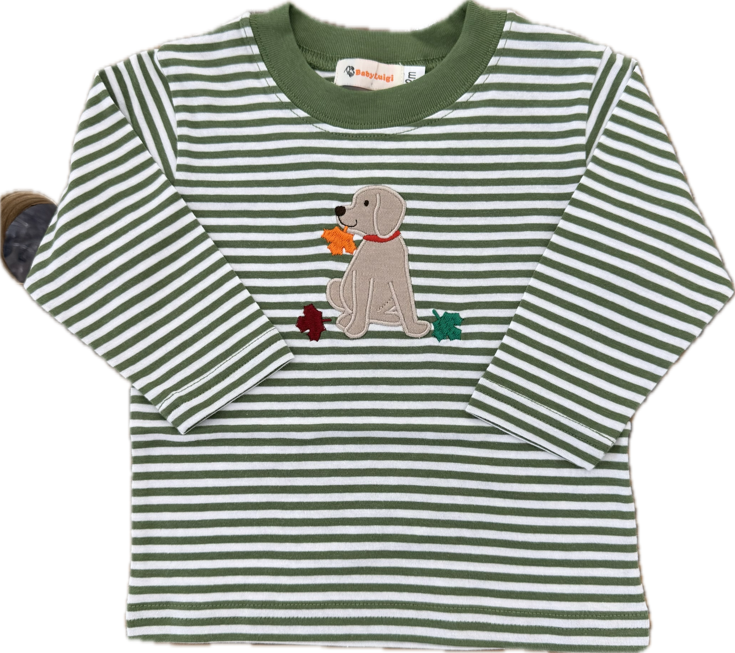 Fall Labrador Tee