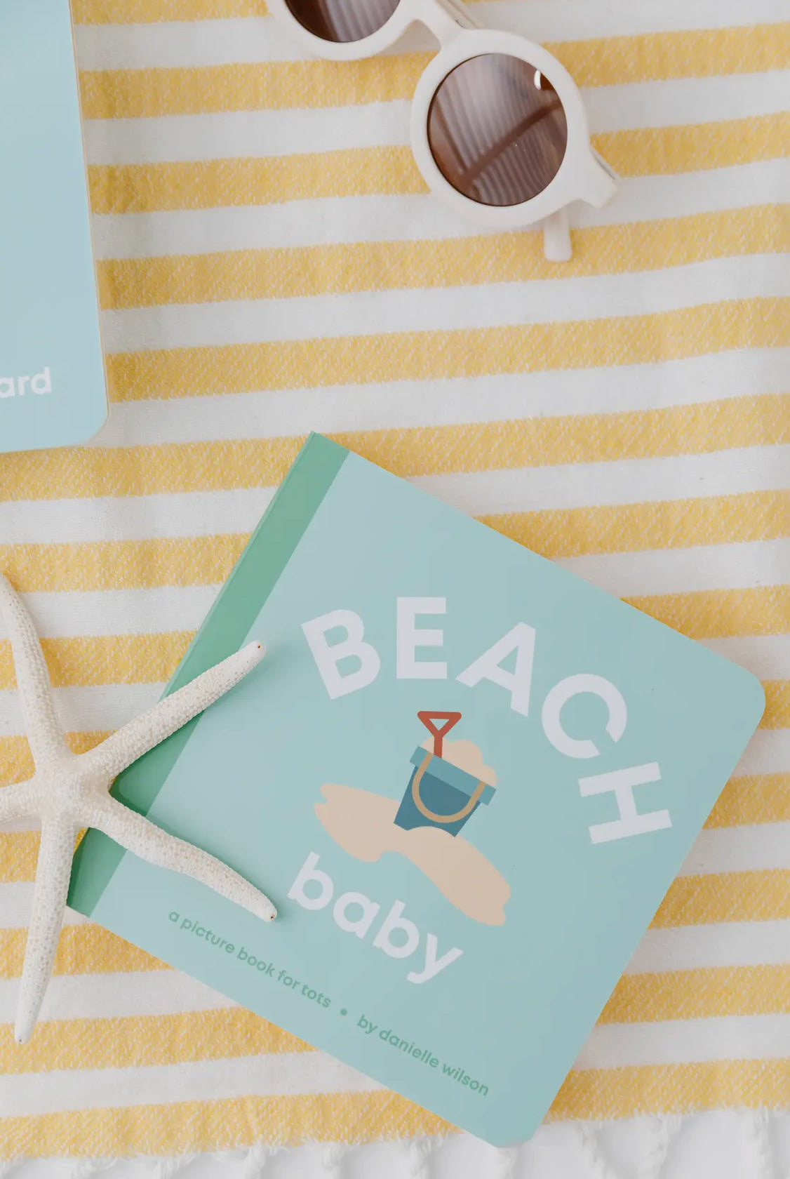 Beach Baby Board Book