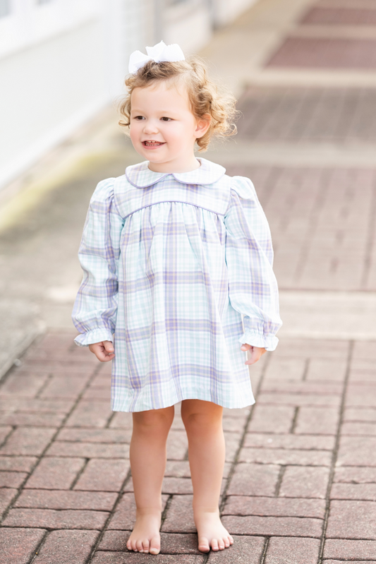 Long Sleeve Maerin Fitz Frock
