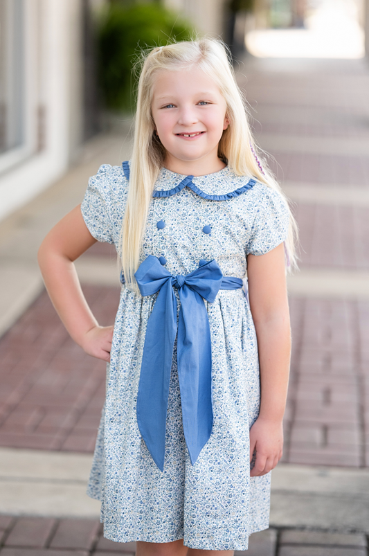 Posh Posies Cornflower Dress