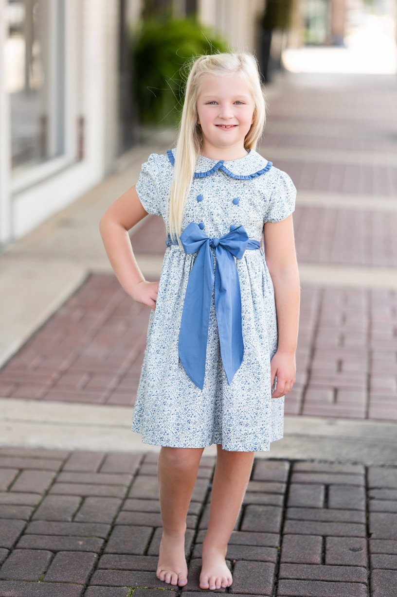 Posh Posies Cornflower Dress