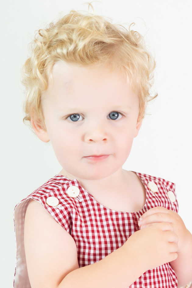 Elephant Shortall