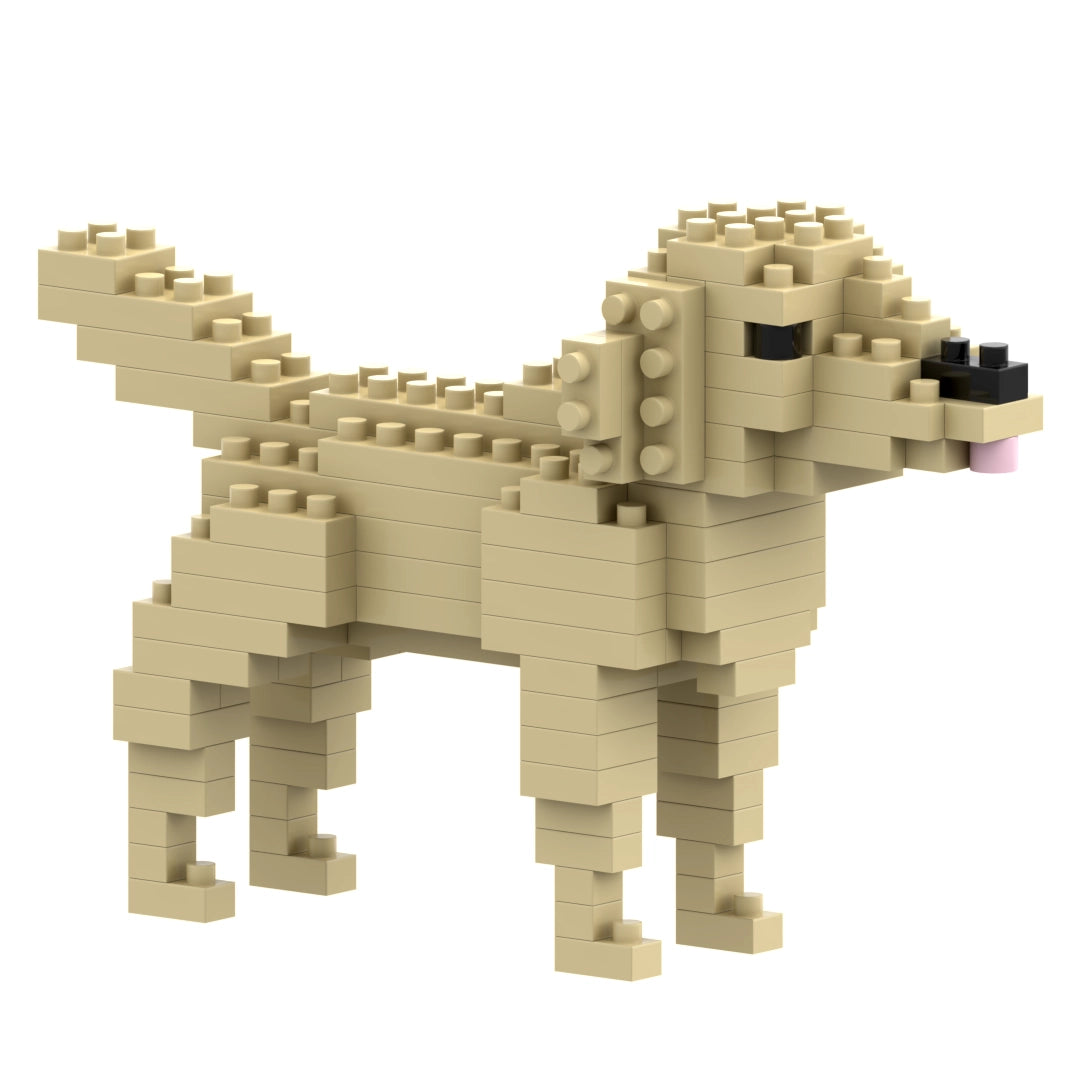 Brixies Golden Retriever