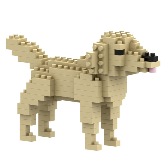 Brixies Golden Retriever